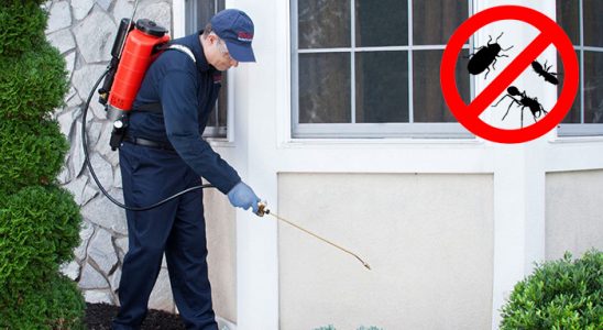 Yahyalı Kemirgen İlaçlama böcek ilaçlama ve haşere kontrolü — ilaclama-tr.com